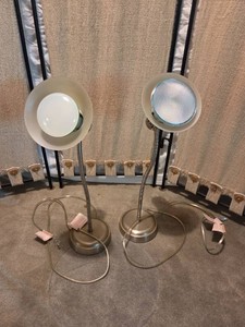 Pair of Gooseneck Lamps
