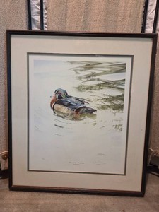 Artwork-Wood Duck-By Chris Bacon