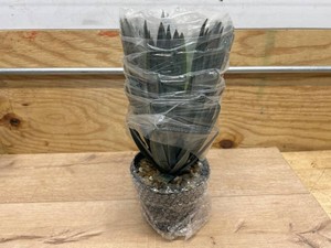 $70 Velener Artificial Agave Plant in Black Pot with Real Stone Pebbles, Large Fake Agave Plants for Indoor and Outdoor-15 inches Tall, 81 Leaves
