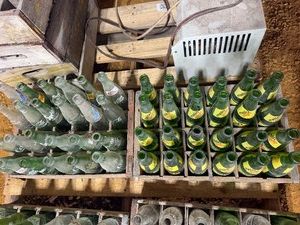 Two Vintage Wood Pop Bottle Carriers with Bottles