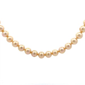 Cultured Yellow Cream Pearl Single Strand Necklace VIDEO