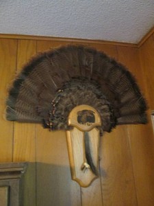 Authentic turkey feather headress style fan