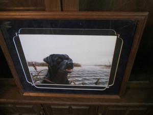Black Lab framed, signed and numbered print by Trevor E