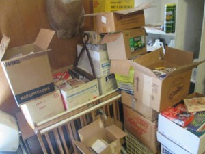 Massive collection of vintage books, novels and reading materials