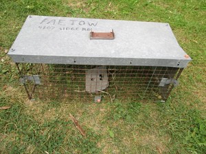 Large size animal live trap