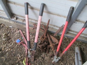 Landscape loppers and load binders