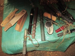 Collection of assorted wildlife calls