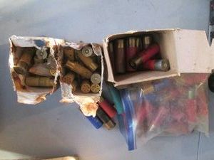 Large variety of shotgun shells and cartridges unspent