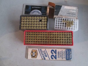 Variety of .22 cal rifle cartridges