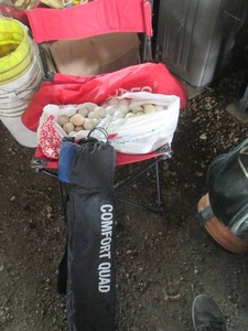 Pair of folding camp style chairs and bulk supply of golf balls