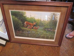 Whitetails in Summers framed, signed and numbered print by Owen Gromme