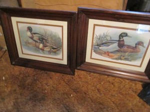Pair of framed Mallard prints by unknown author