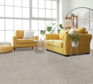 154 SF of Noble Tone Silk Plush Carpet - Fleck - 11x14