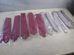 (EW5) 10 New Neck Ties