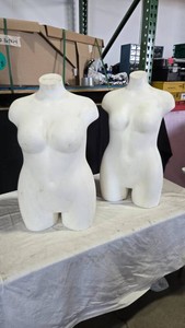 Female Torso Mannequins (2)
