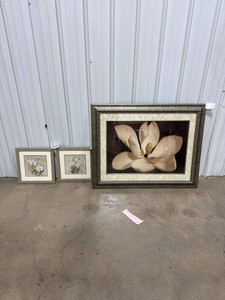 Set of 3 Framed Floral Prints