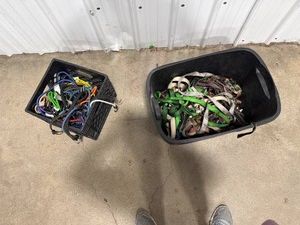 Assorted Bungee Cords & Straps