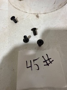 Bulk Black nuts