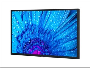 new NEC MultiSync M491 49-inch LCD monitor,