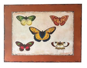 LLR - Beautiful Vintage Butterfly Canvas Print