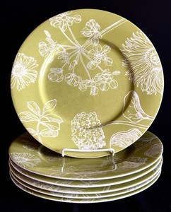 K - Floral Dinner Plates - Crate & Barrel Green & White (Lot of 6)