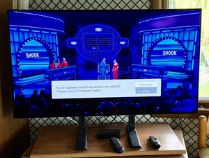 K - OLED TV - LG OLED48B4PUA 48-Inch 4K Television
