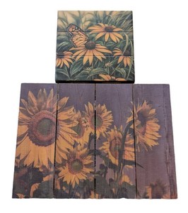 O - Painted Wood Wall Hangings - Sunflower & Butterfly Pair