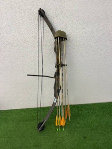 Compound Bow 30 Draw Length