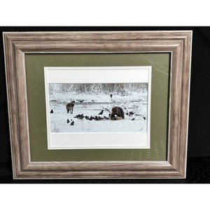 Framed Wildlife Print in Wood Frame, 16 in Wide