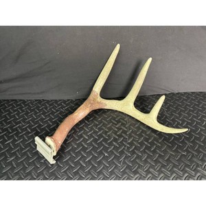 Deer Antler Mount with Wall Bracket, 3-Point Rack