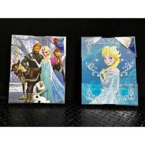 Disney Frozen Elsa & Anna Framed Canvas Wall Art Set 2 Pieces