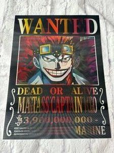 One Piece 12 x 16 Lenticular 3D Poster in Nice Condition