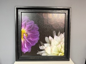 Purple Dahlia Flower Art in Beautiful Black Frame (29.25 wide x 29.25 tall x 1.5 deep)