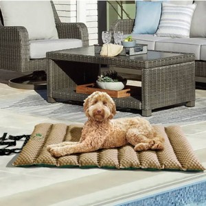 Brentwoof Cooling Travel Pet Mat - Beige and Green