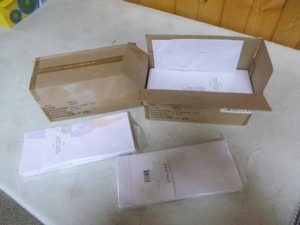 2 Boxes of #10 Envelopes