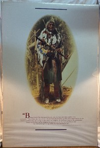 Brings Down The Sun poster print by Walter McClintock