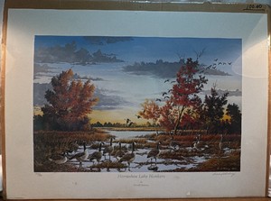 Horseshoe Lake Honkers framed print by Donald Blakney