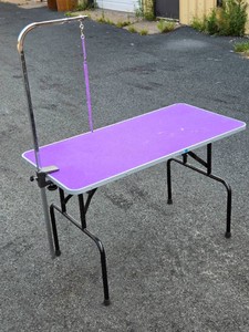 Master Equipment Folding Pet Grooming Table