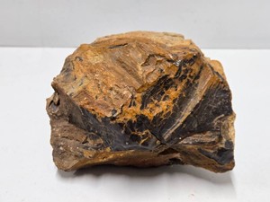 Large Chunk of Petrified Wood or other Stone Specimen