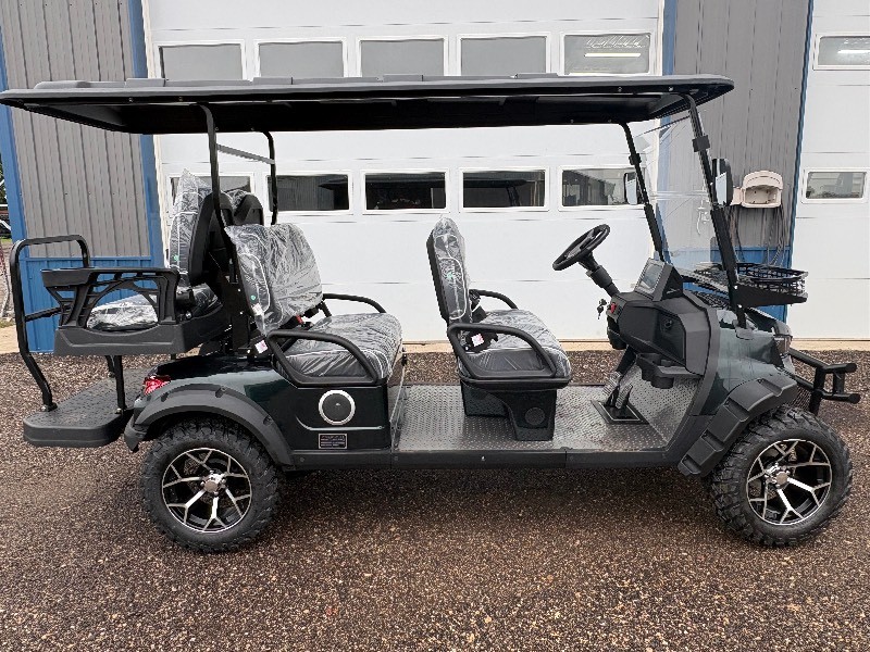 2026 FUTURE Off-Road Golf Cart (FT-GC42S),  ASSEMBLED 