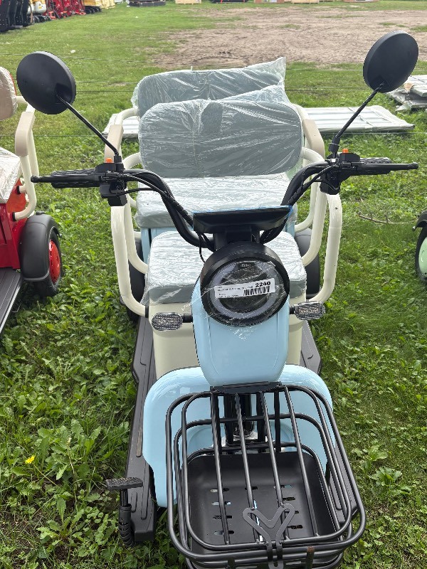 2026 SDLANCH Electric Tricycle Mini Golf Cart (IRGC40)