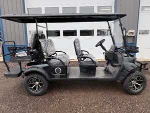 2026 FUTURE OFF-ROAD GOLF CART (FT-GC42S),  ASSEMBLED 
