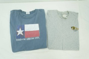 gland size large grey t-shirts, anvil size large blue t-shirt printed Texas lone star state