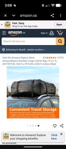 Roof top car carrier