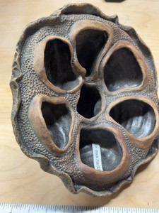Studio Pottery Lotus Seed Pod Sculptural Vase Black Brown Ceramic