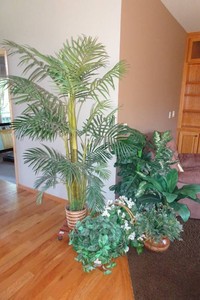 Artificial House Plants