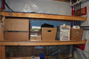 Assorted Hardware - Paint Supplies, Light Bulbs, Tape