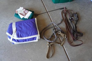 Horse Blanket, Halters and Riding Crop