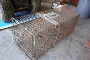 Havahart Live Trap
