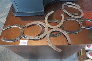 Horse Shoe Wall Dcor